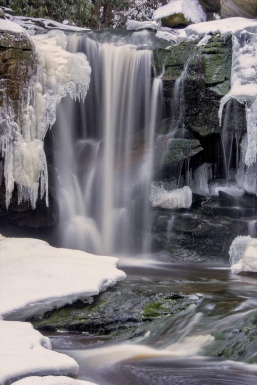 Picture of WEST VIRGINIA, BLACKWATER FALLS FROZEN WATERFALL