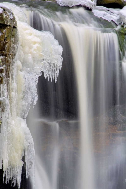 Picture of WEST VIRGINIA, BLACKWATER FALLS FROZEN WATERFALL