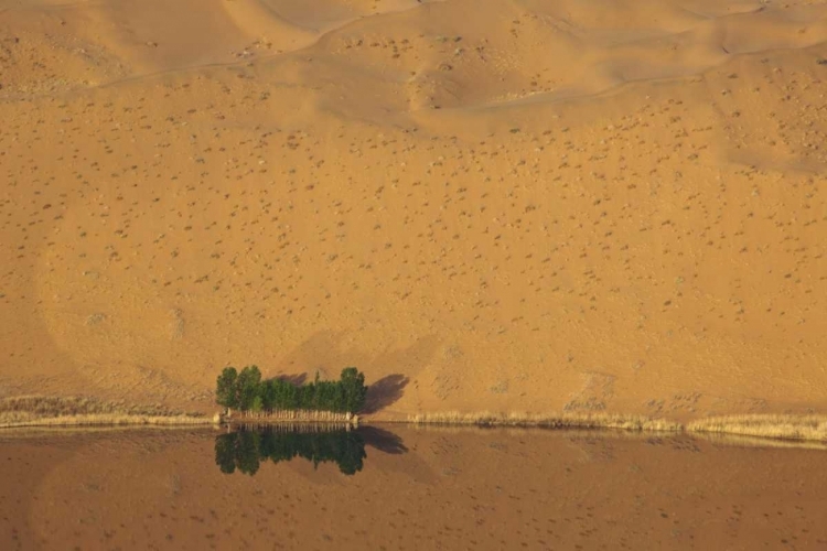 Picture of CHINA, BADAIN JARAN DUNE AND TREES BY A LAKE