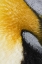 Picture of ANTARCTICA, ST ANDREWS BAY KING PENGUIN