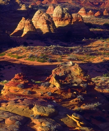 Picture of ARIZONA, SANDSTONE FORMATIONS IN THE PARIA CANYON