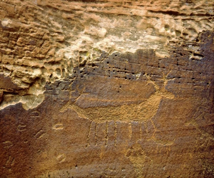 Picture of UTAH PETROGLYPH CARVINGS OF ANIMALS ON ROCK FACE