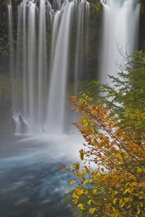 Picture of OR, WILLAMETTE NF KOOSAH FALLS