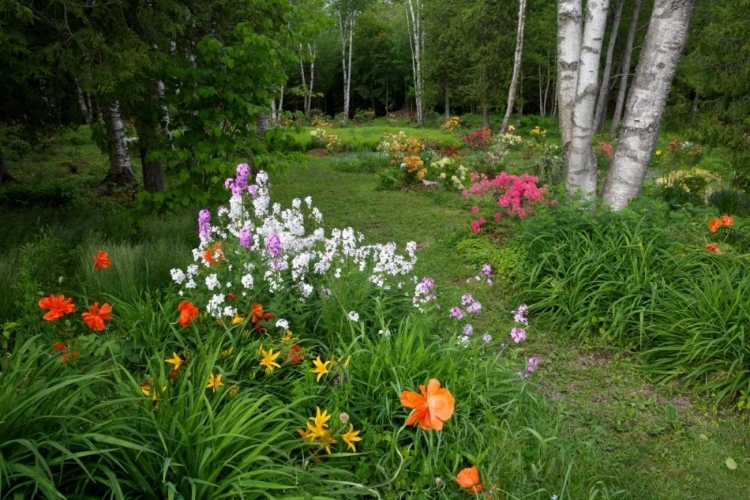 Picture of CANADA, NEW BRUNSWICK GARDEN SCENIC