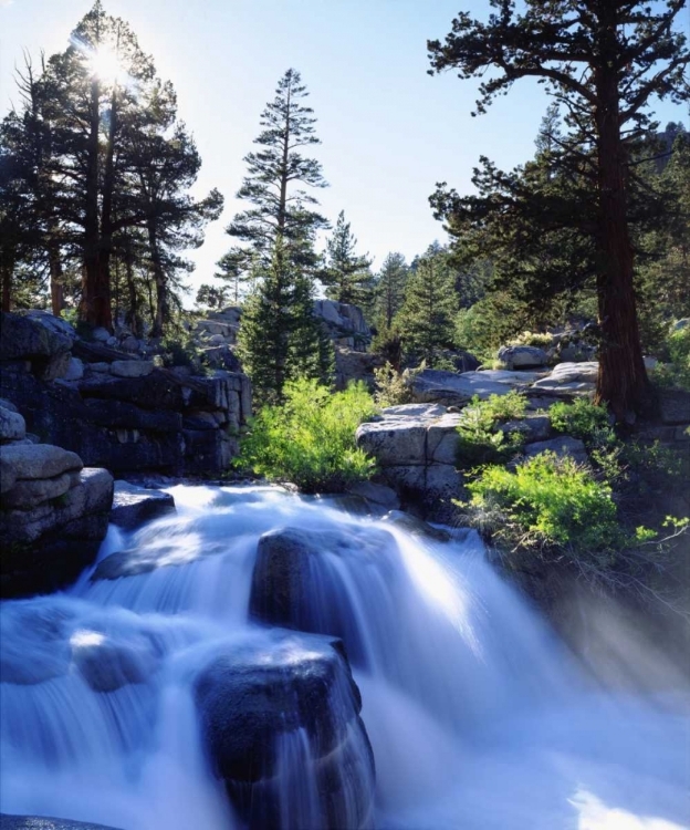 Picture of CA, SIERRA NEVADA A WATERFALL IN THE HIGH SIERRA