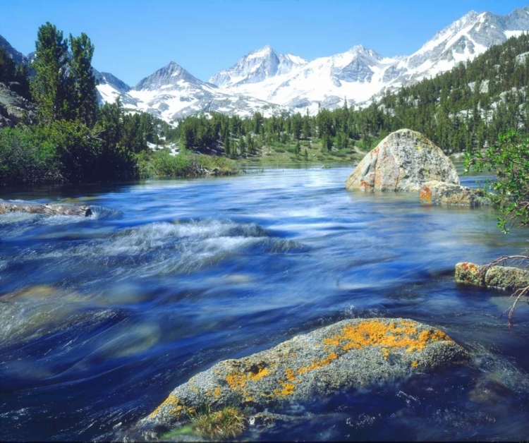 Picture of CA, SIERRA NEVADA LICHEN COVERED ROCK IN A CREEK