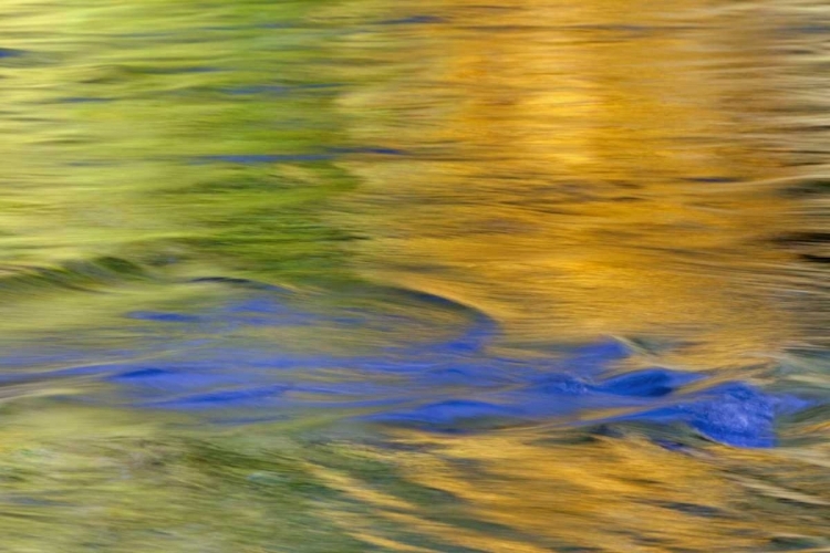 Picture of WA, QUINAULT AUTUMN REFLECT IN QUINAULT RIVER