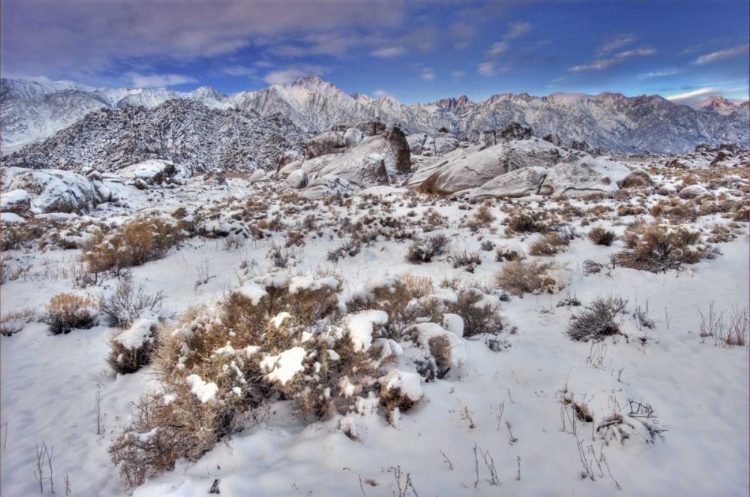 Picture of CA, SIERRA MTS, ALABAMA HILLS SNOWY LANDSCAPE