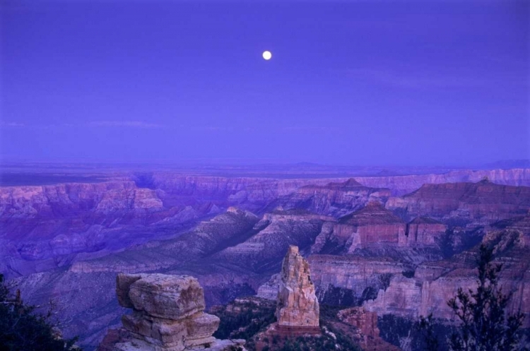 Picture of AZ, GRAND CANYON, MOONRISE OVER POINT IMPERIAL