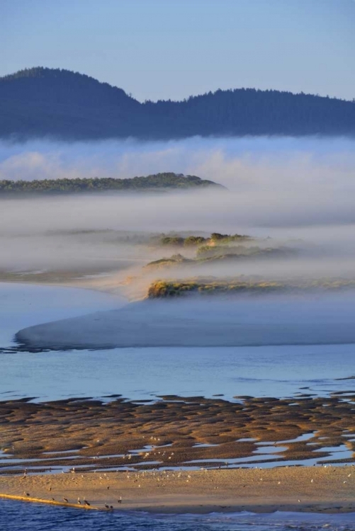 Picture of USA, OREGON MORNING FOG OVER NETARTS BAY