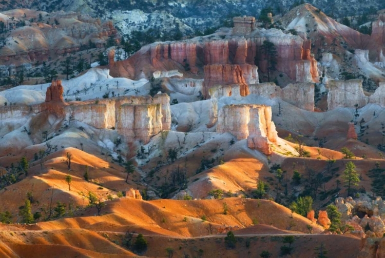 Picture of USA, UTAH HOODOO FORMATIONS IN BRYCE CANYON NP