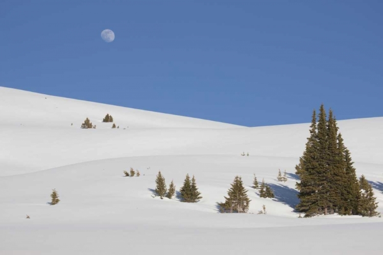 Picture of COLORADO MOON RISE ABOVE THE CONTINENTAL DIVIDE