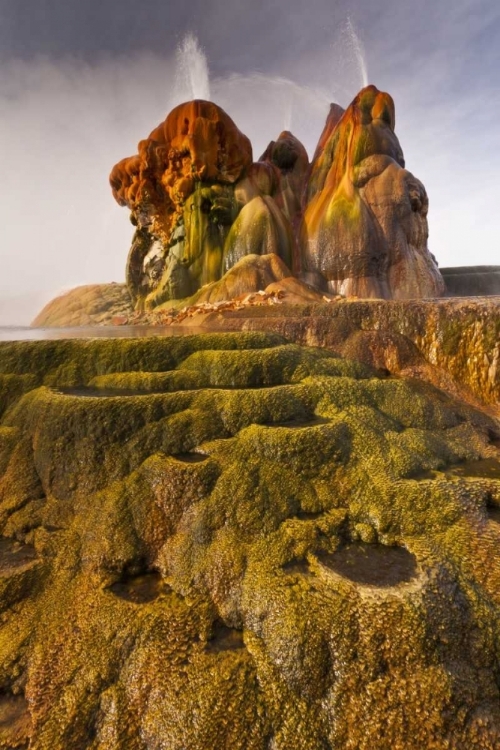 Picture of NEVADA, BLACK ROCK DESERT VIEW OF THE FLY GEYSER