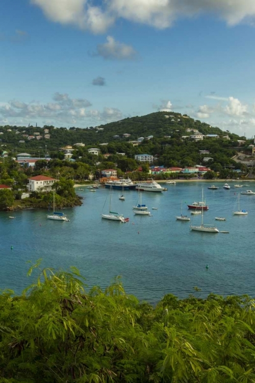 Picture of CARIBBEAN, USA VIRGIN ISLANDS, ST JOHN CRUZ BAY