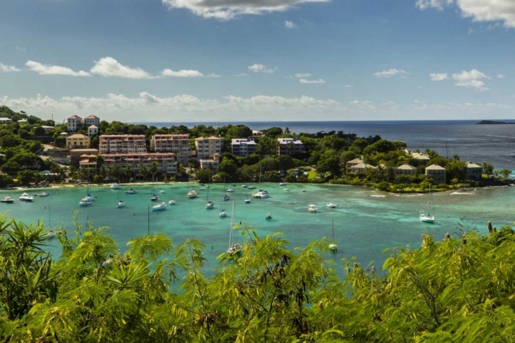 Picture of CARIBBEAN, USA VIRGIN ISLANDS, ST JOHN CRUZ BAY