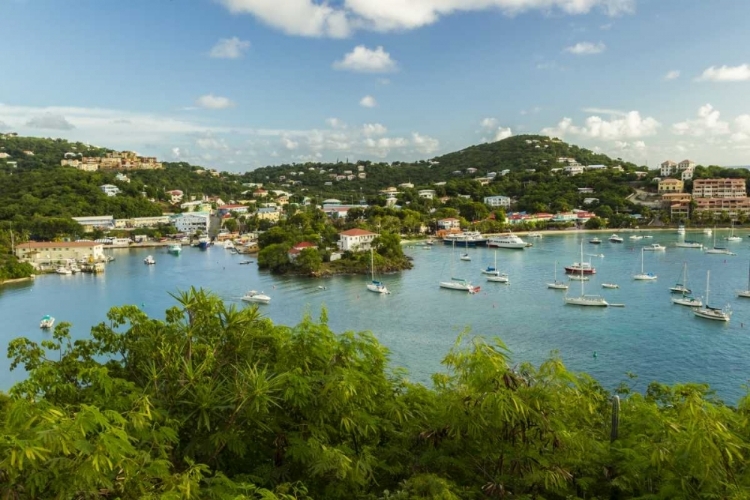 Picture of CARIBBEAN, USA VIRGIN ISLANDS, ST JOHN CRUZ BAY