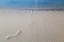 Picture of BAHAMAS, EXUMA ISLAND SAND FOOTPRINTS