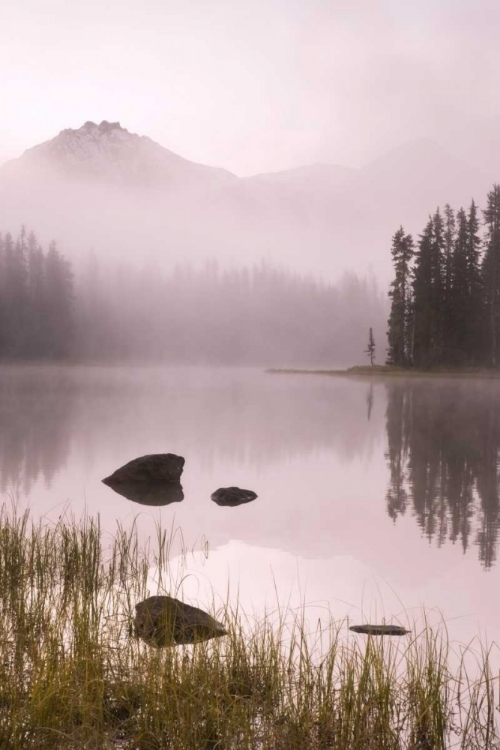 Picture of OR, WILLAMETTE NF FOGGY SUNRISE ON SCOTT LAKE