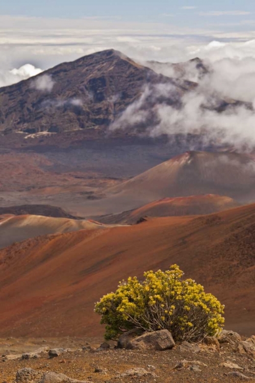 Picture of HAWAII, MAUI, HALEAKALA NP MOUNTAIN SCENIC