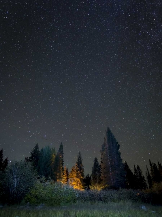 Picture of USA, COLORADO NIGHT SKY AT LOST LAKE SLOUGH