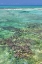 Picture of BAHAMAS, EXUMA ISL SEASCAPE OF CLEAR OCEAN WATER