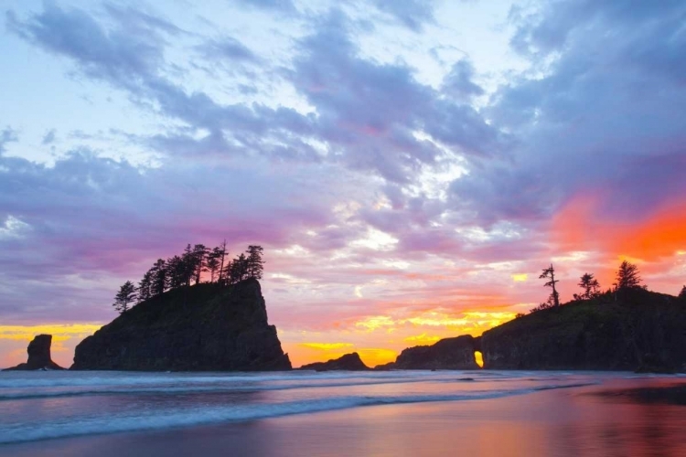 Picture of WASHINGTON, OLYMPIC NP SECOND BEACH AT SUNSET