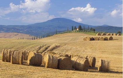 Picture of ITALY, SAN QUIRICO DORCIA BALES OF HAY AND FARM