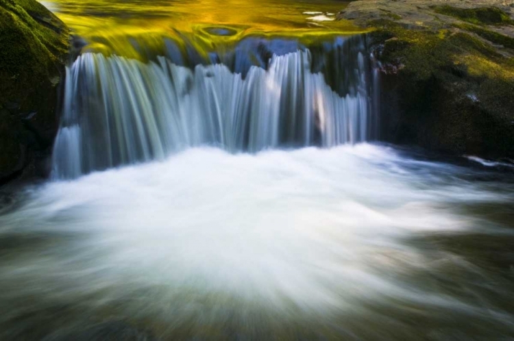 Picture of OREGON REFLECTIONS IN WATERFALL ON SWEET CREEK