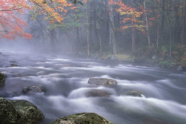 Picture of NY, ADIRONDACKS, BIG MOOSE RIVER RAPIDS IN FALL