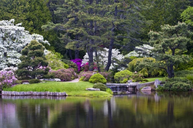 Picture of MAINE, NORTHEAST HARBOR VIEW OVER A GARDEN POND