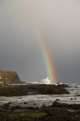 Picture of NEW ZEALAND, SOUTH ISLAND RAINBOW OVER CURIO BAY