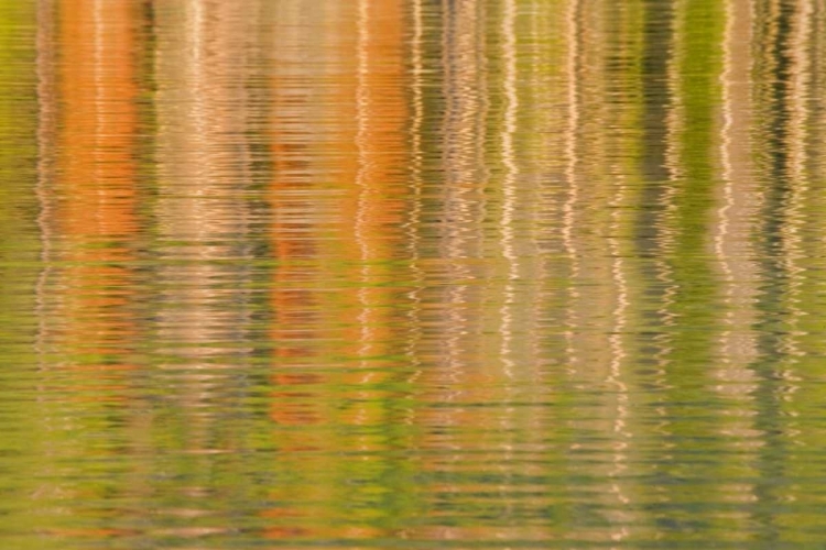 Picture of USA, IDAHO REFLECTIONS ON REDFISH LAKE