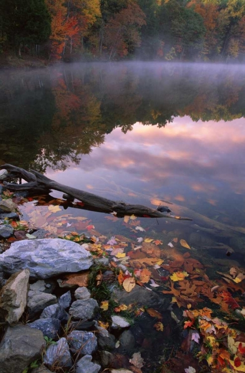 Picture of PA, POCONO MOUNTAINS AUTUMN SUNRISE ON LAKE