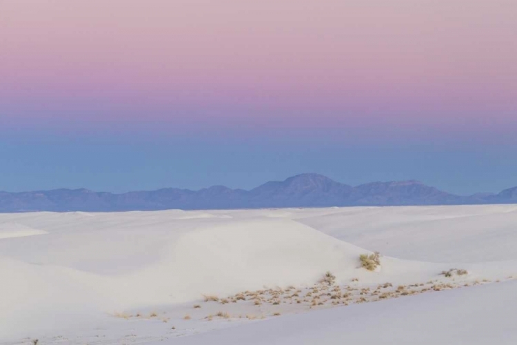 Picture of NEW MEXICO, WHITE SANDS NM DESERT AT SUNSET