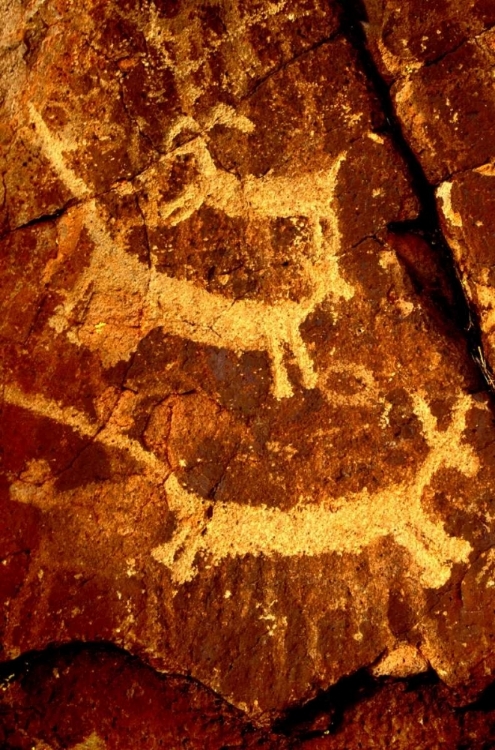 Picture of CALIFORNIA, LITTLE PETROGLYPH CANYON PETROGLYPHS