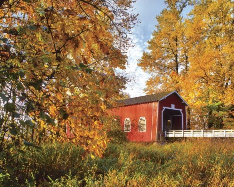 Picture of OR, SHIMANEK COVERED BRIDGE IN MORNING LIGHT