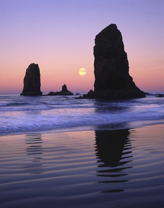 Picture of OR, CANNON BEACH THE NEEDLES ROCK MONOLITHS
