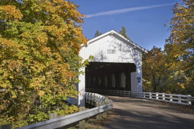 Picture of OR, COTTAGE GROVE HISTORIC DORENA COVERED BRIDGE