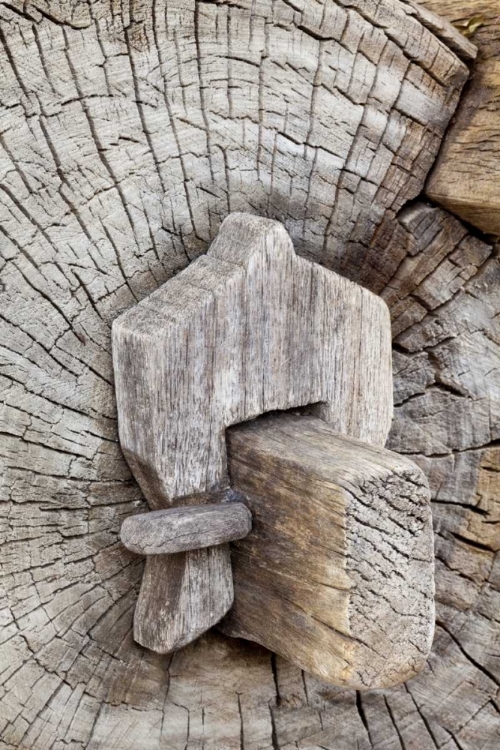 Picture of MEXICO, TECATE WOODEN BENCH AT RANCHO LA PURERTA