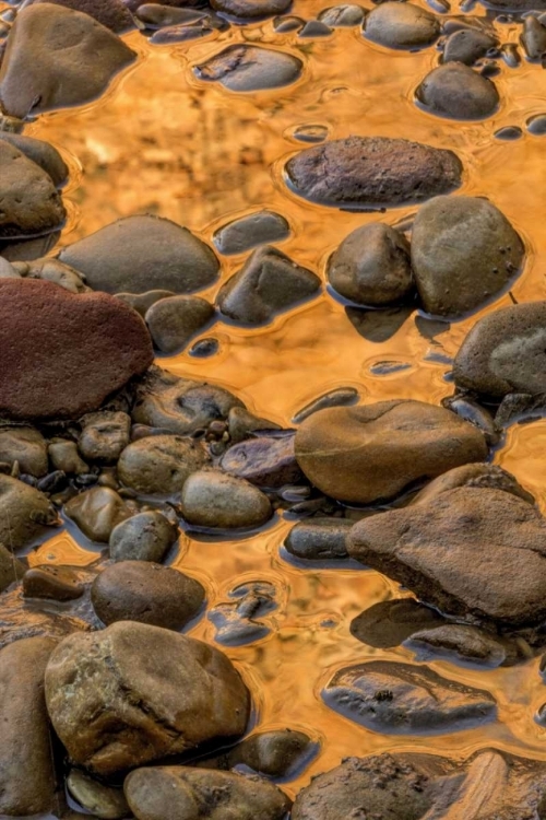 Picture of USA, UTAH, ZION NP ROCKS IN WATER