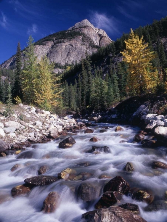 Picture of CANADA, ALBERTA, BANFF NP