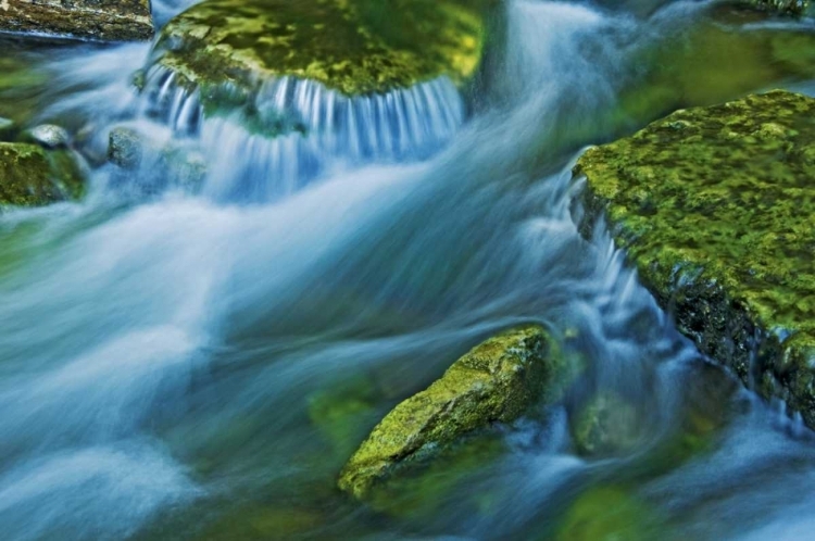 Picture of CANADA, ONTARIO KAGAWONG RIVER SCENIC