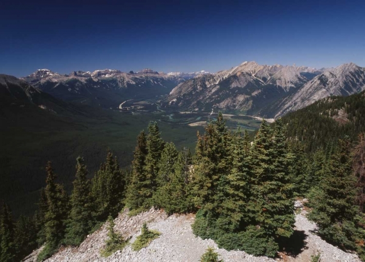 Picture of CANADA, ALBERTA, BOW VALLEY IN BANFF NP