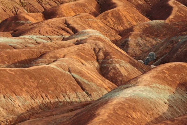 Picture of CANADA, CHELTENHAM CHELTENHAM BADLANDS