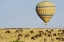 Picture of KENYA, MASAI MARA TOURISTS RIDE HOT AIR BALLOON