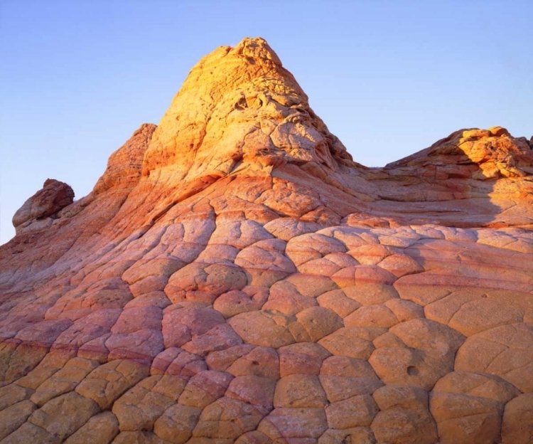 Picture of ARIZONA, PARIA CANYON