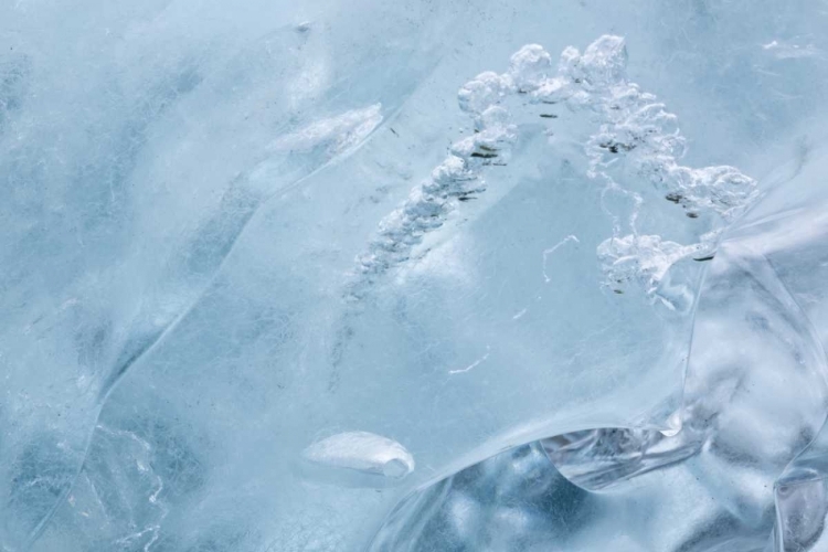 Picture of AK, GLACIER BAY NP, MCBRIDE GLACIER ICE DETAIL