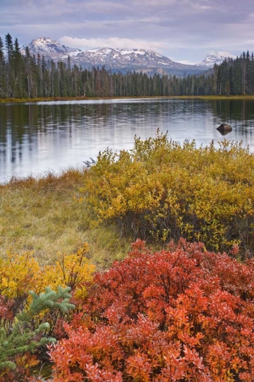 Picture of OR, WILLAMETTE NF SCOTT LAKE AND THREE SISTERS