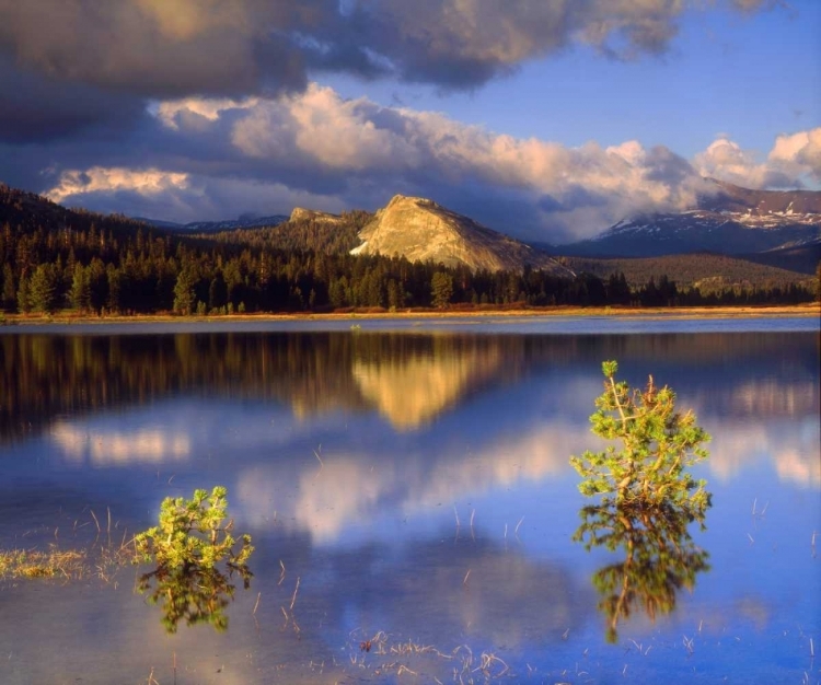 Picture of CA, YOSEMITE LEMBERT DOME AND TUOLUMNE RIVER