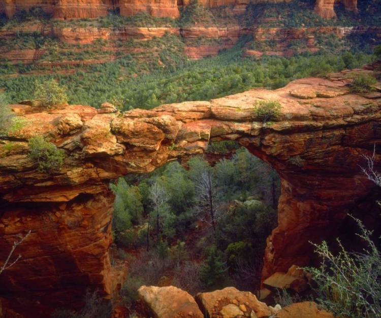 Picture of USA, ARIZONA, SEDONA NATURAL SANDSTONE BRIDGE